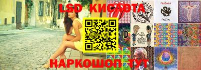 индика Гусь-Хрустальный