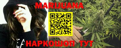 индика Гусь-Хрустальный