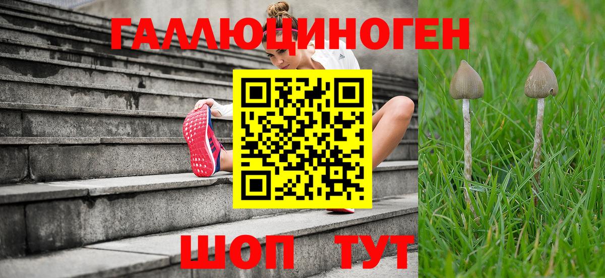 Мирный  цена   Вход с VPN  Галлюциногенные грибы мухоморы  Псилоцибиновые грибы прущие грибы 